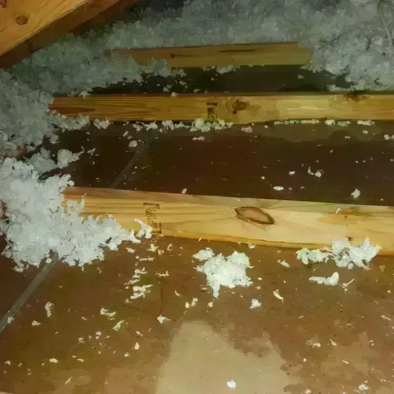 Attic Water Damage in Port Isabel, TX